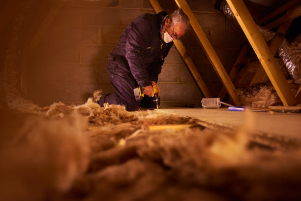 Best Garage Insulation Installation  in Shamrock, TX