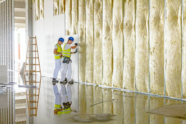 Best Wall Insulation Contractor  in Shamrock, TX